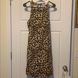New York and company leapord dress size medium